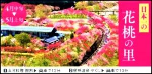 信州そば街道花桃宣伝
