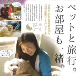 むらさわ