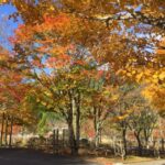 治部坂高原紅葉祭り